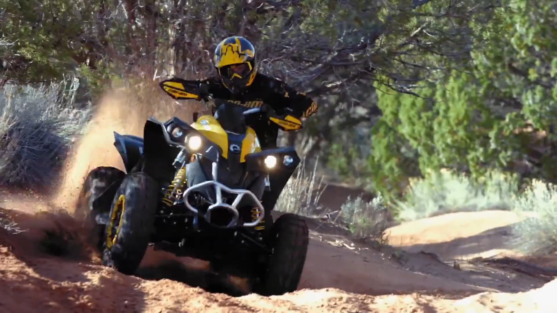 Field Producers Part 2 • Ducks and Deer