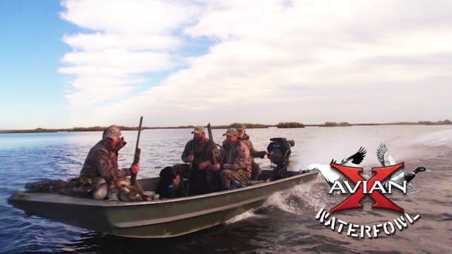Cajun Duck Hunting • Avian X Waterfowl