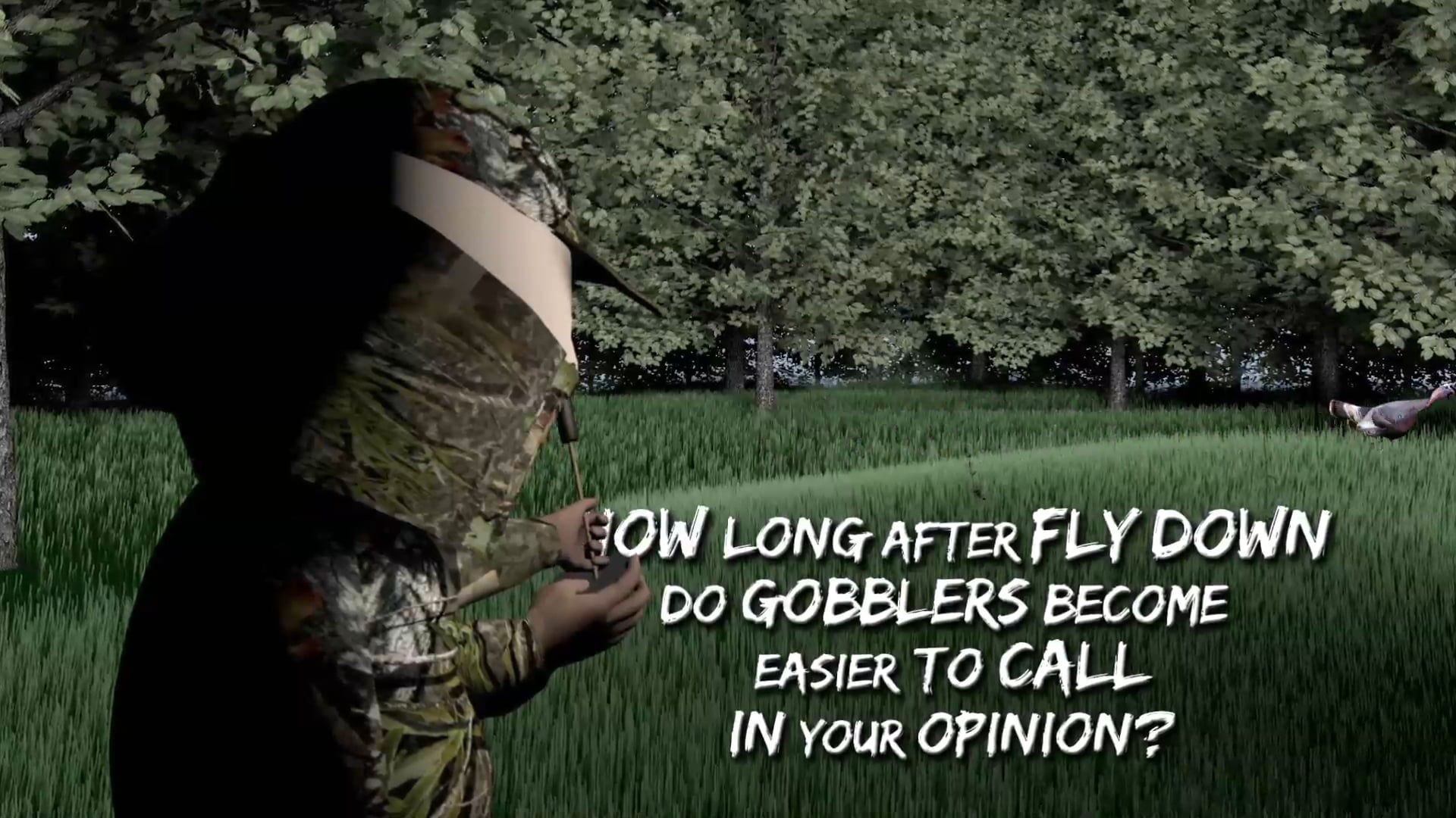 After Flydown • Turkey Hunting in New York