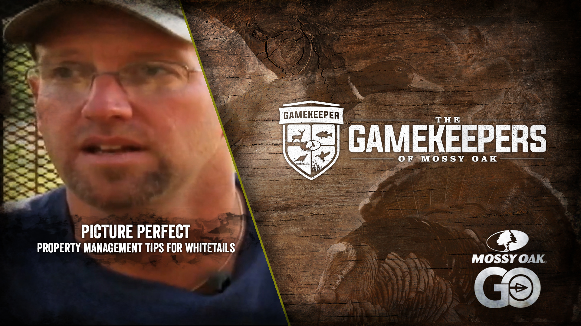 Picture Perfect • Property Management Tips for Whitetails