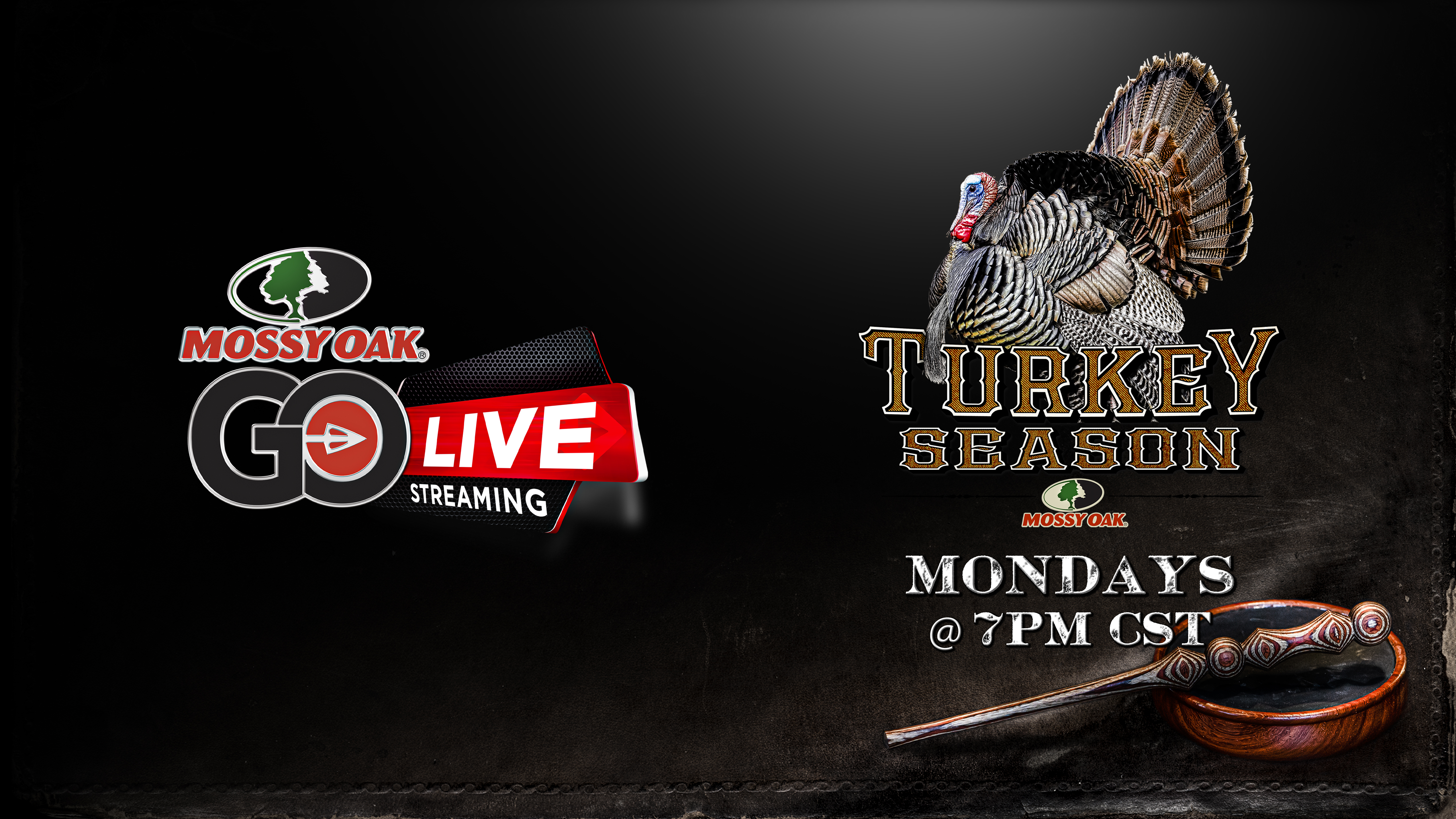 Live: 3.15.2021 Turkey Season - Part 4