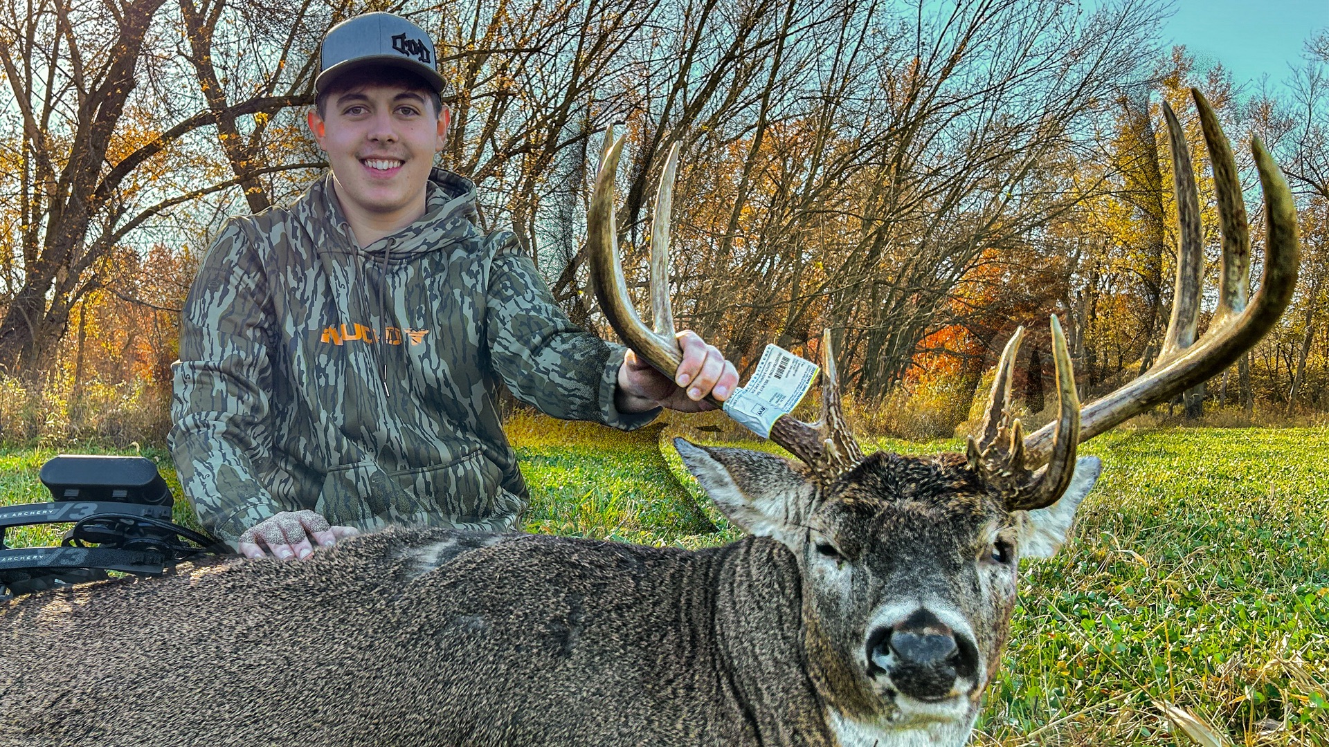 The Dagger Buck: Pre-Rut ACTION in IOWA | Dream Season Live