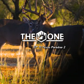 Texas Paradise 2 • The One