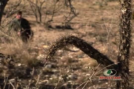 The Gift • Two Brothers with the Same Obsession