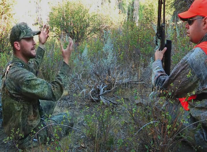 Three Forks and Two Purple Hearts • Bull Elk in Colorado
