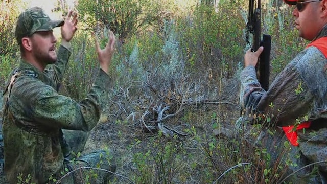 Three Forks and Two Purple Hearts • Bull Elk in Colorado