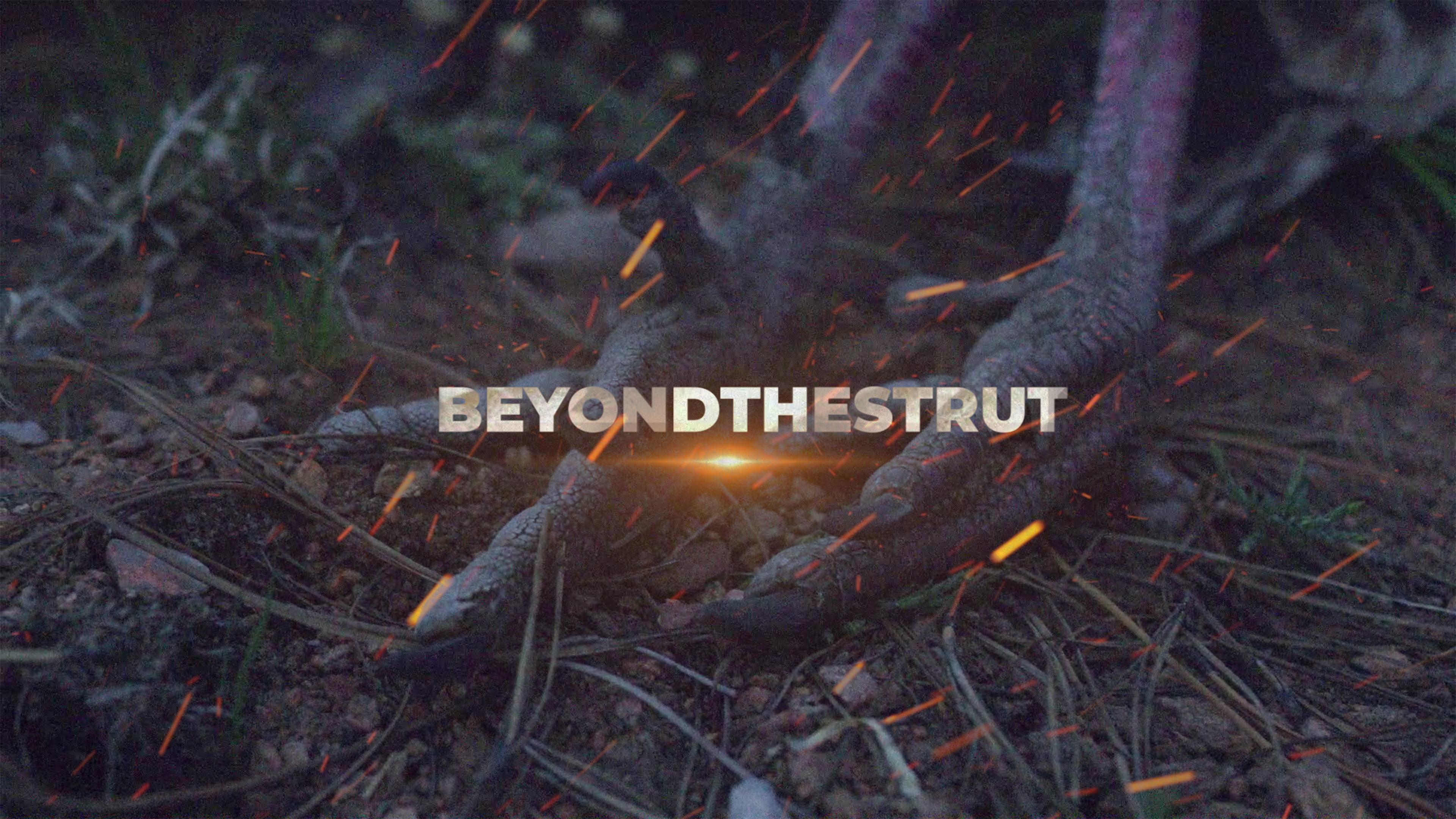 NWTF Beyond the Strut