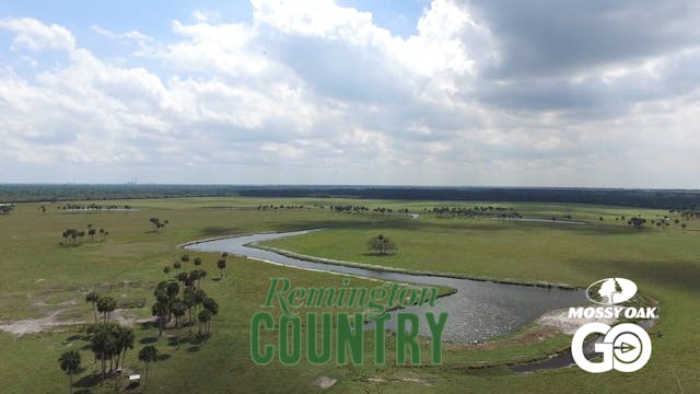 Big Tire Hogs • Remington Country