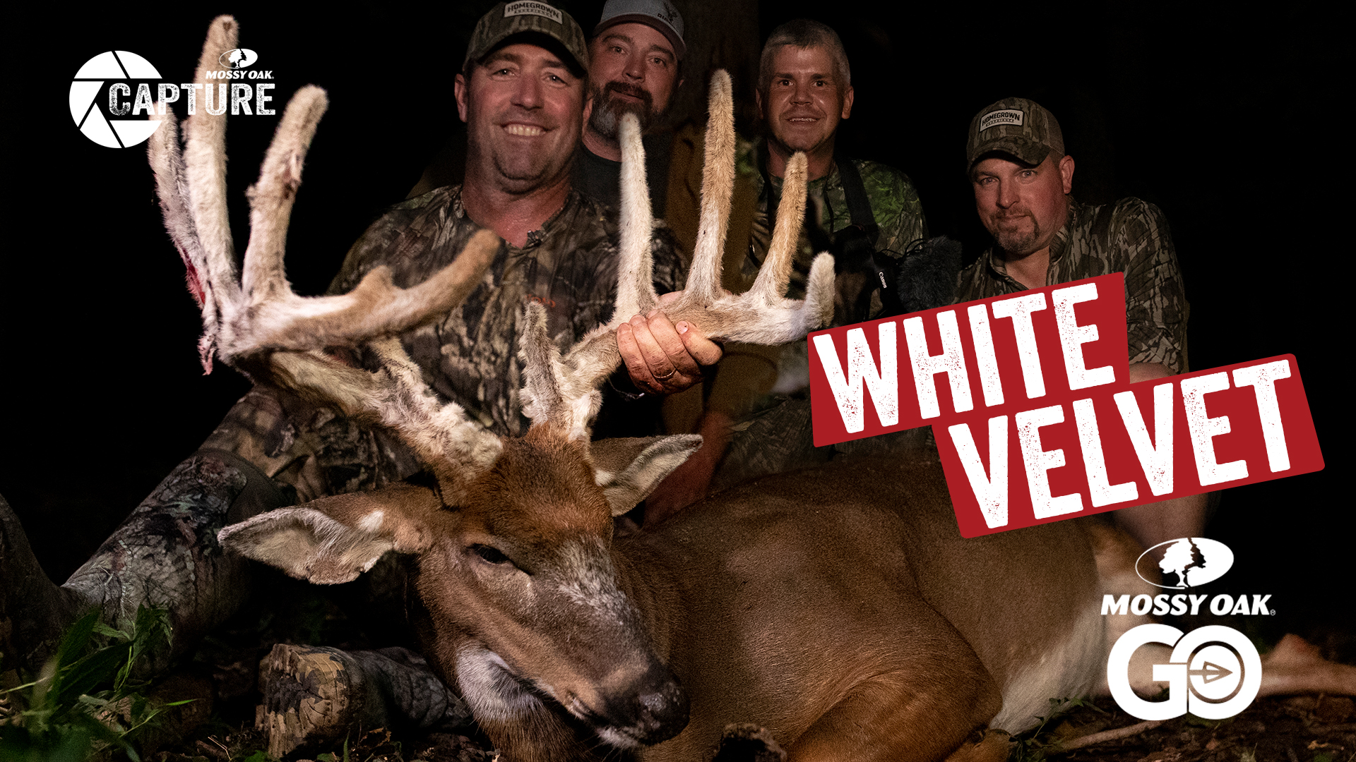 Giants • Snowflake