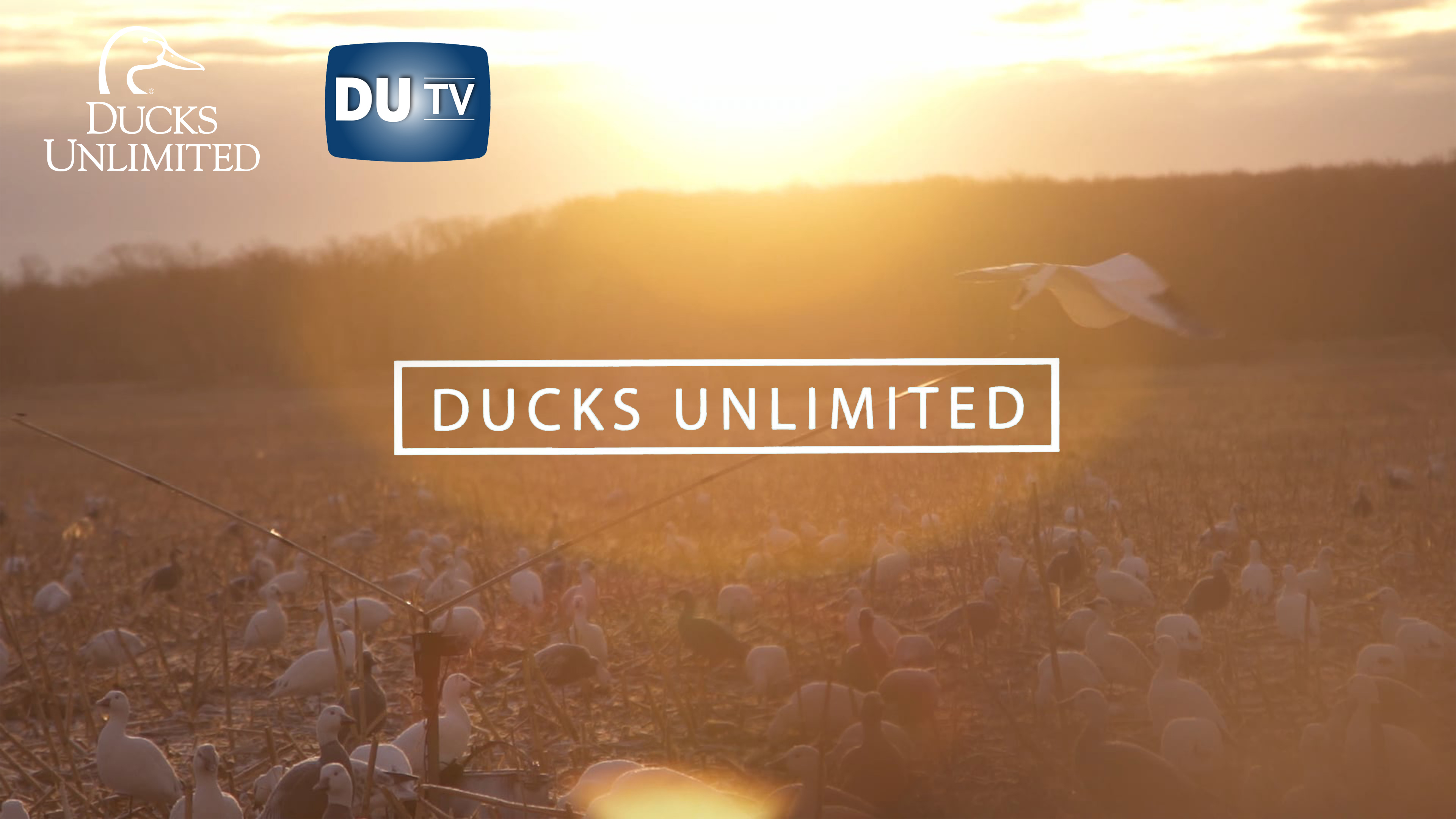 Missouri Snowdays • DU TV