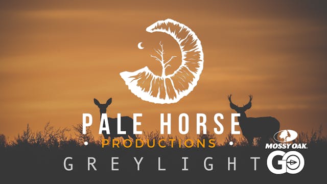 Grey Light • Pale Horse