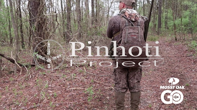 Rainy Day Hunting • Pinhoti Project Day 47