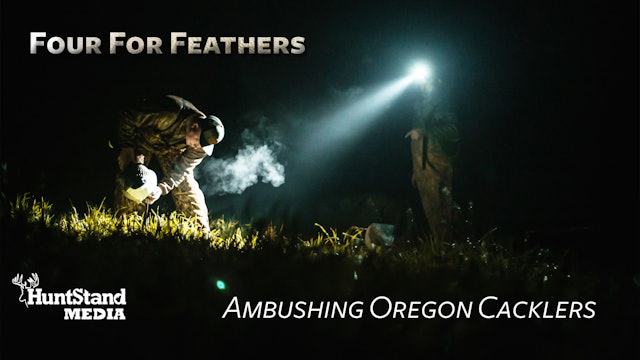Ambushing Oregon Cacklers • Four for Feathers