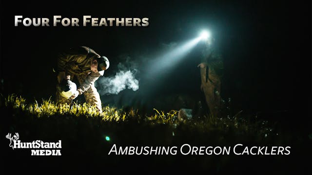 Ambushing Oregon Cacklers • Four for ...