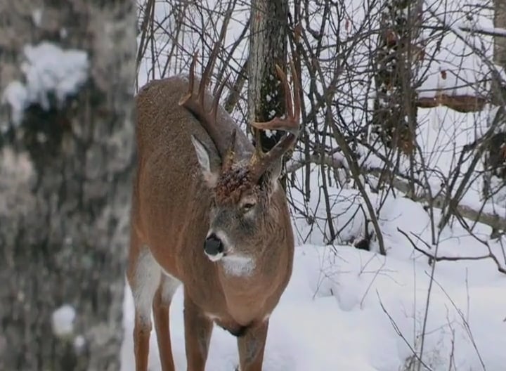 It's Elemental • Tough Hunts with Great Rewards