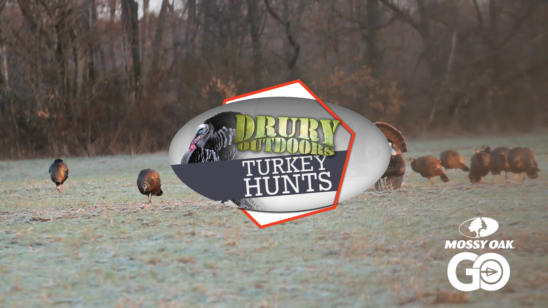 Father-Son Duo Perfect the Solo-Hen decoy Set • DOD TV