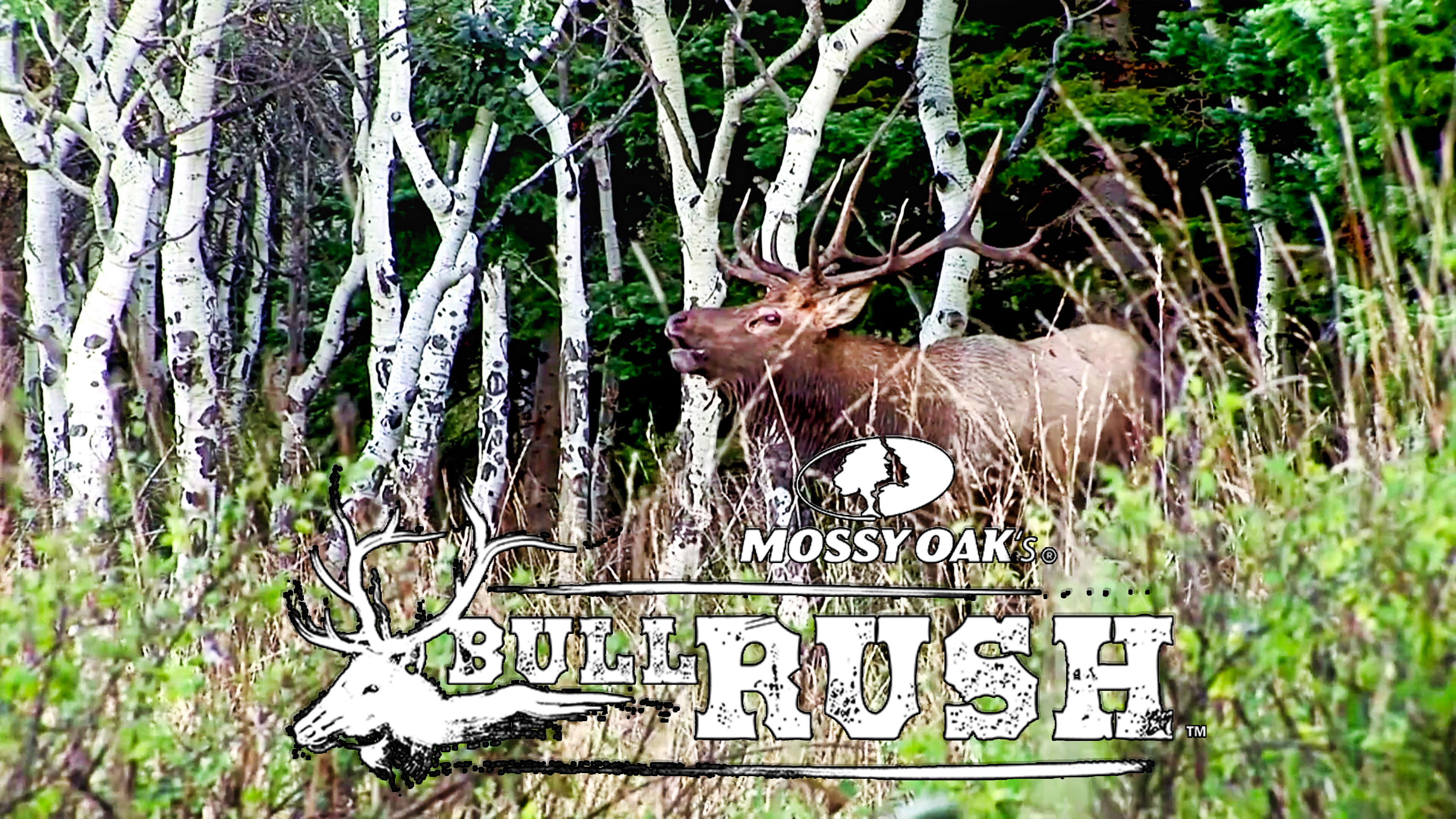 Mossy Oak's BULL RUSH