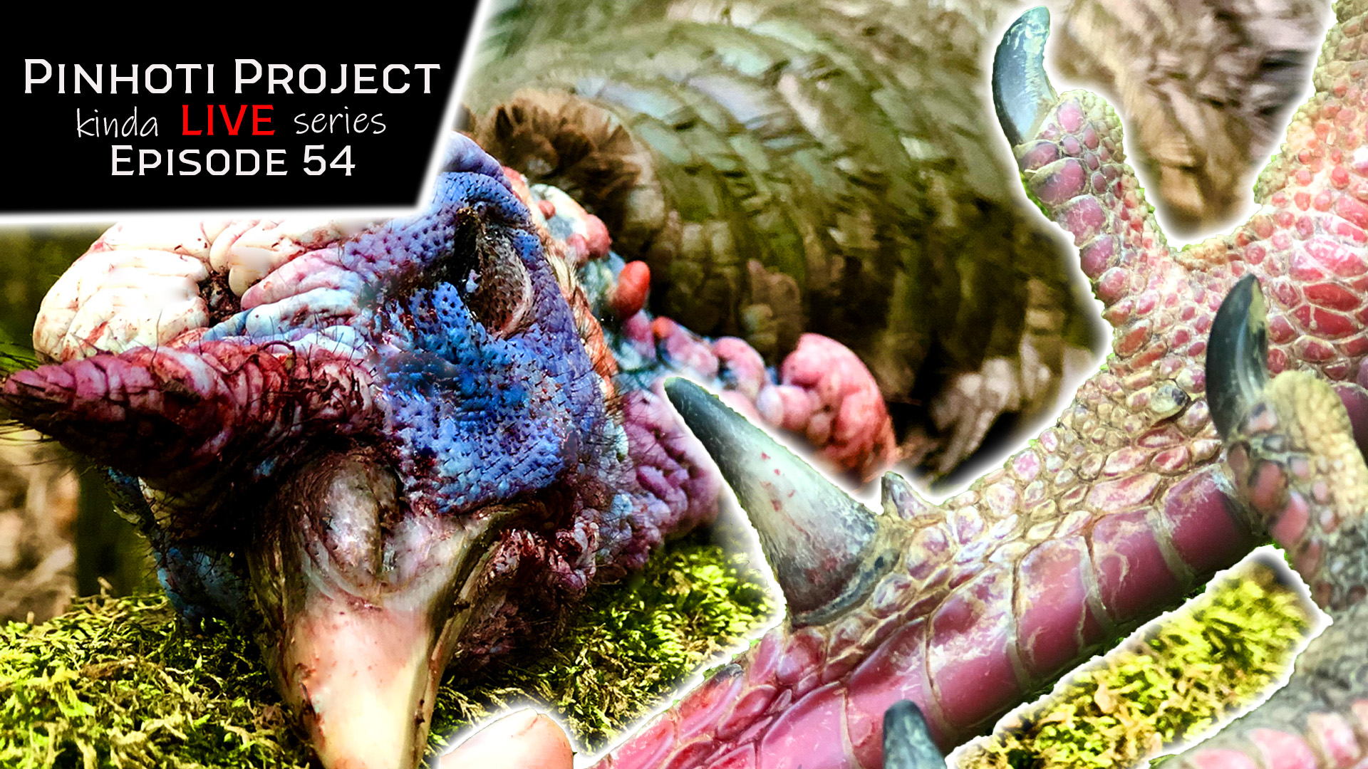 Kinda Live • Episode 54 • Pinhoti Project