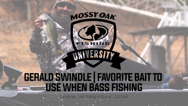 Favorite Bait To Use When Bass Fishing