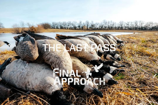 Last Pass Episode 10 • Limits Of Gees...