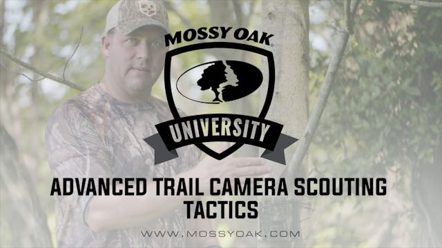 Advanced Scouting for Deer Using Trai...
