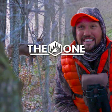 The ONE