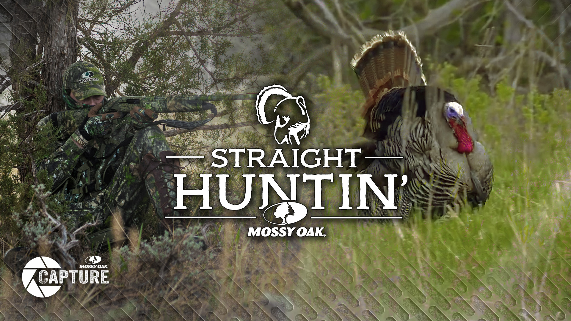 Straight Huntin' • Turkey