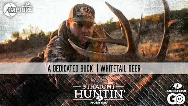 A Dedicated Buck • Straight Huntin'