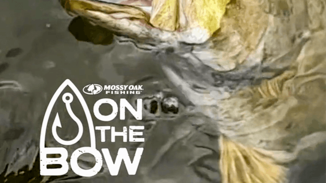 On the Bow with Ott DeFoe • Carp Leads to Bass?