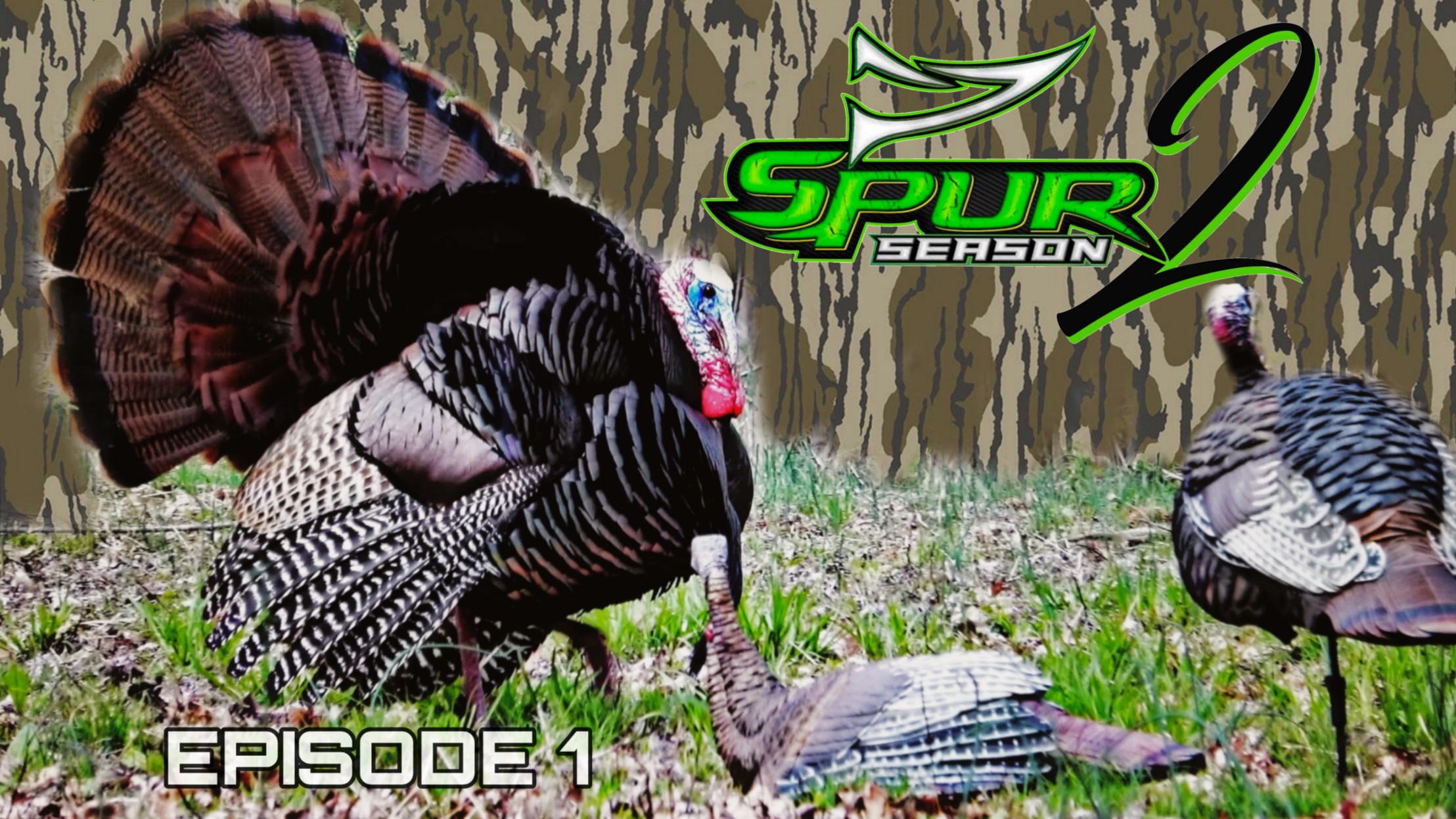 Ben and Colton Smash Strutters • Spur Season