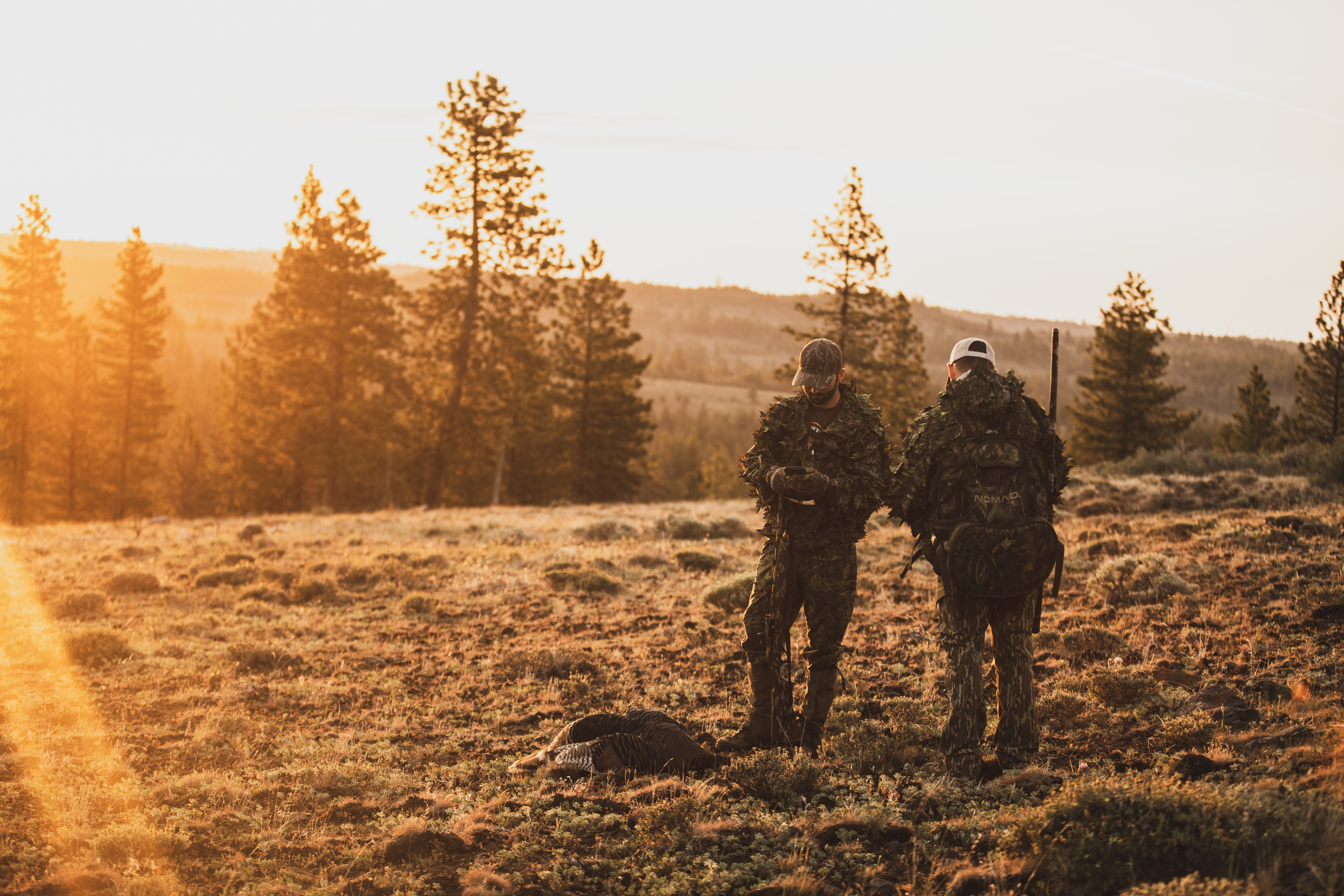 Go West Young Men • Chasing 49