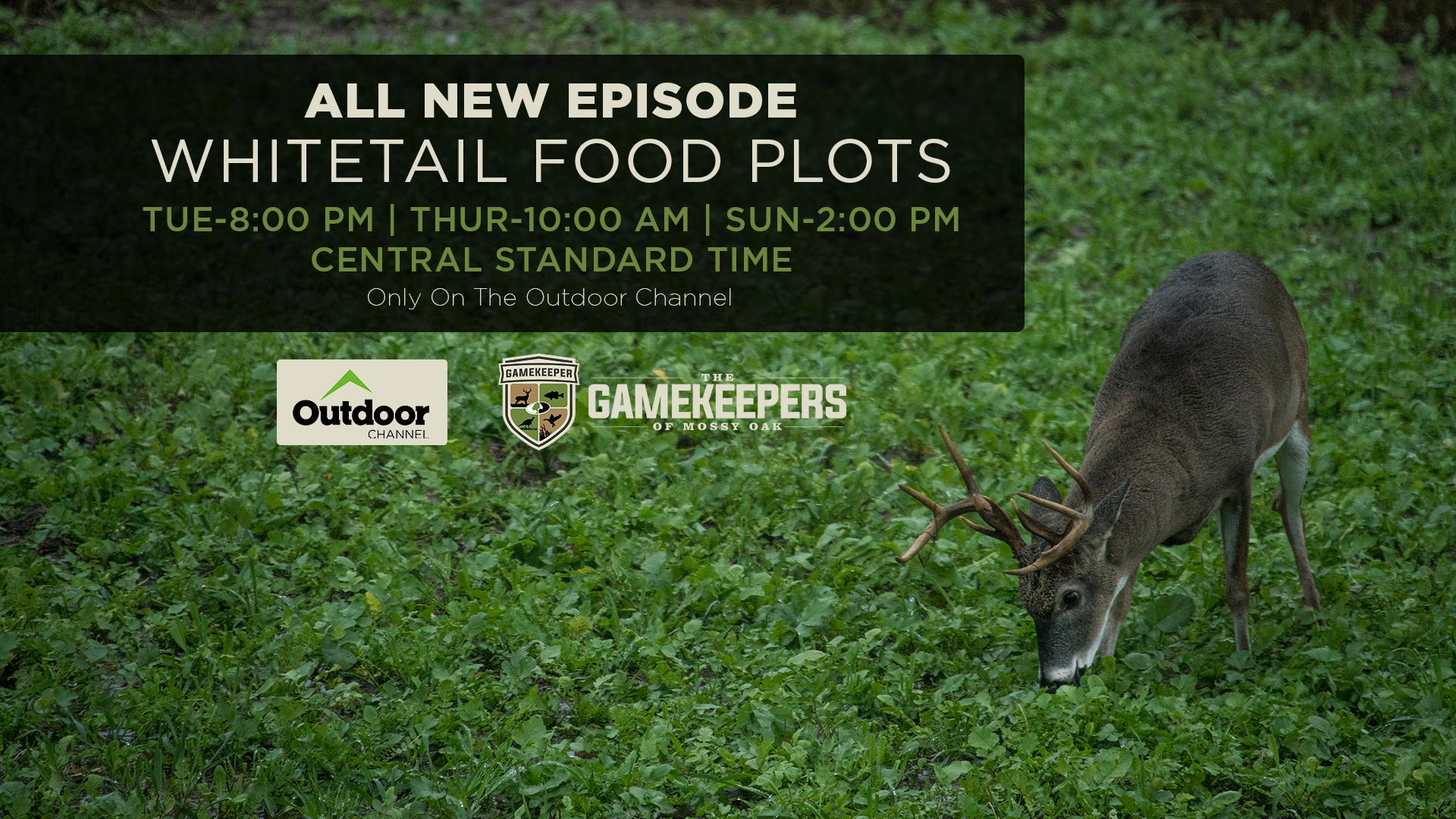 Whitetail Food Plots • Gamekeepers