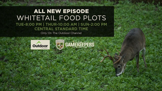 Whitetail Food Plots • Gamekeepers