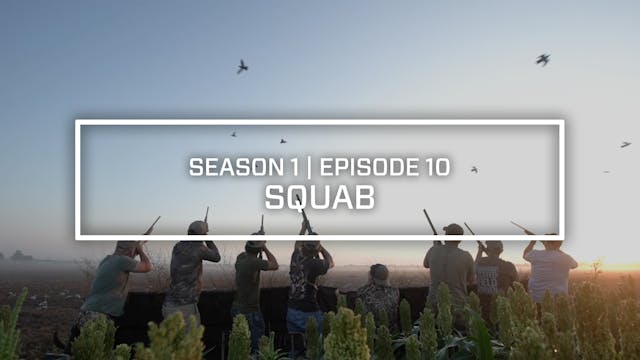 Last Pass Episode 10 • SQUAB