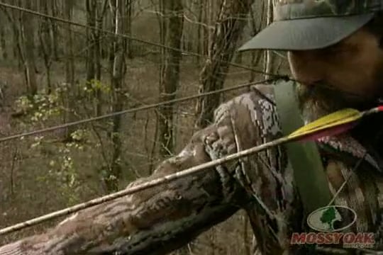 Best of Mega Bucks 456