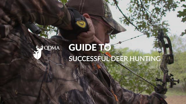 QDMA Guide to Successful Deer Hunting