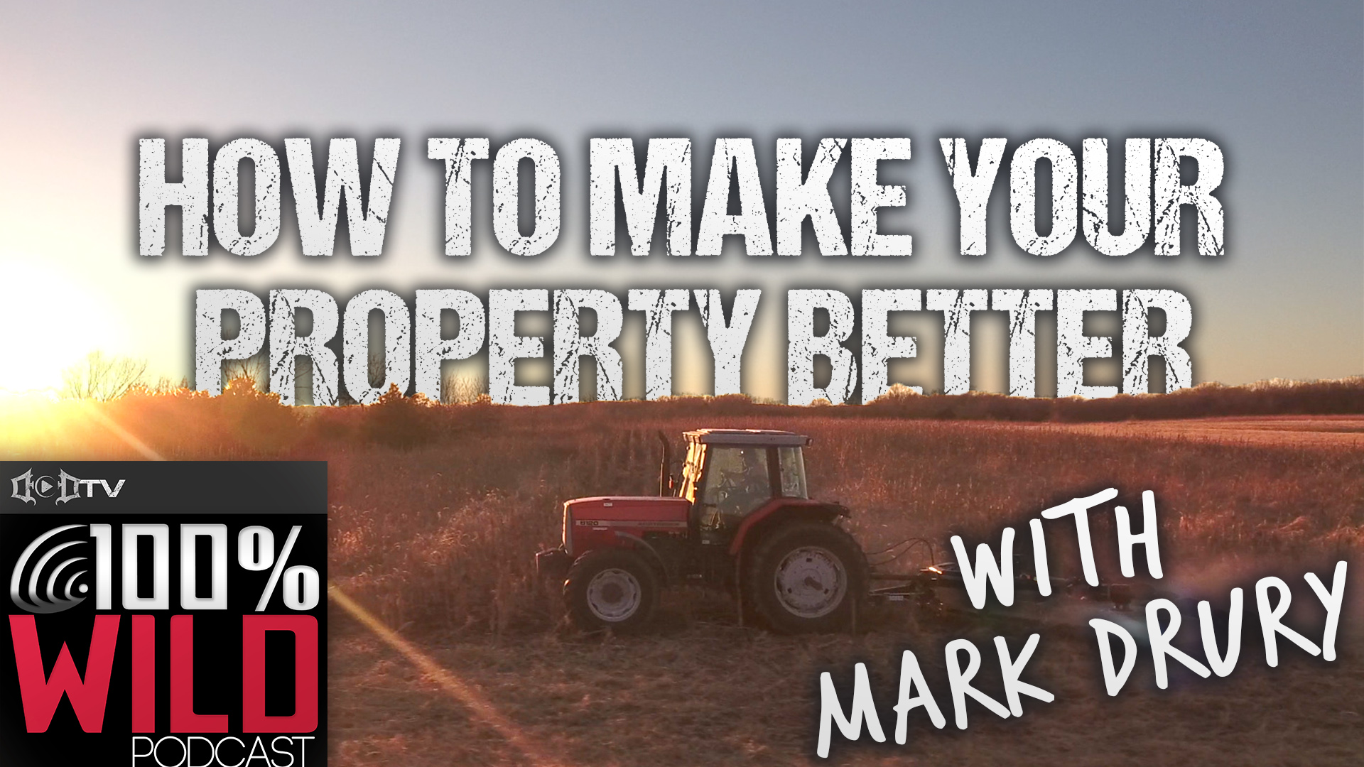 Tips To Make Your Property Better for Next Year • 100% Wild Podcast