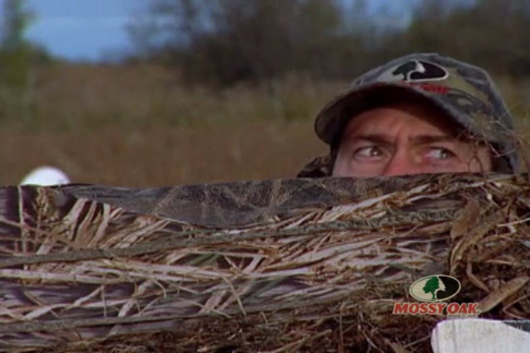 Snowdaze • Snow Geese Hunting in Canada, Kentucky and Ohio Mossy Oak GO