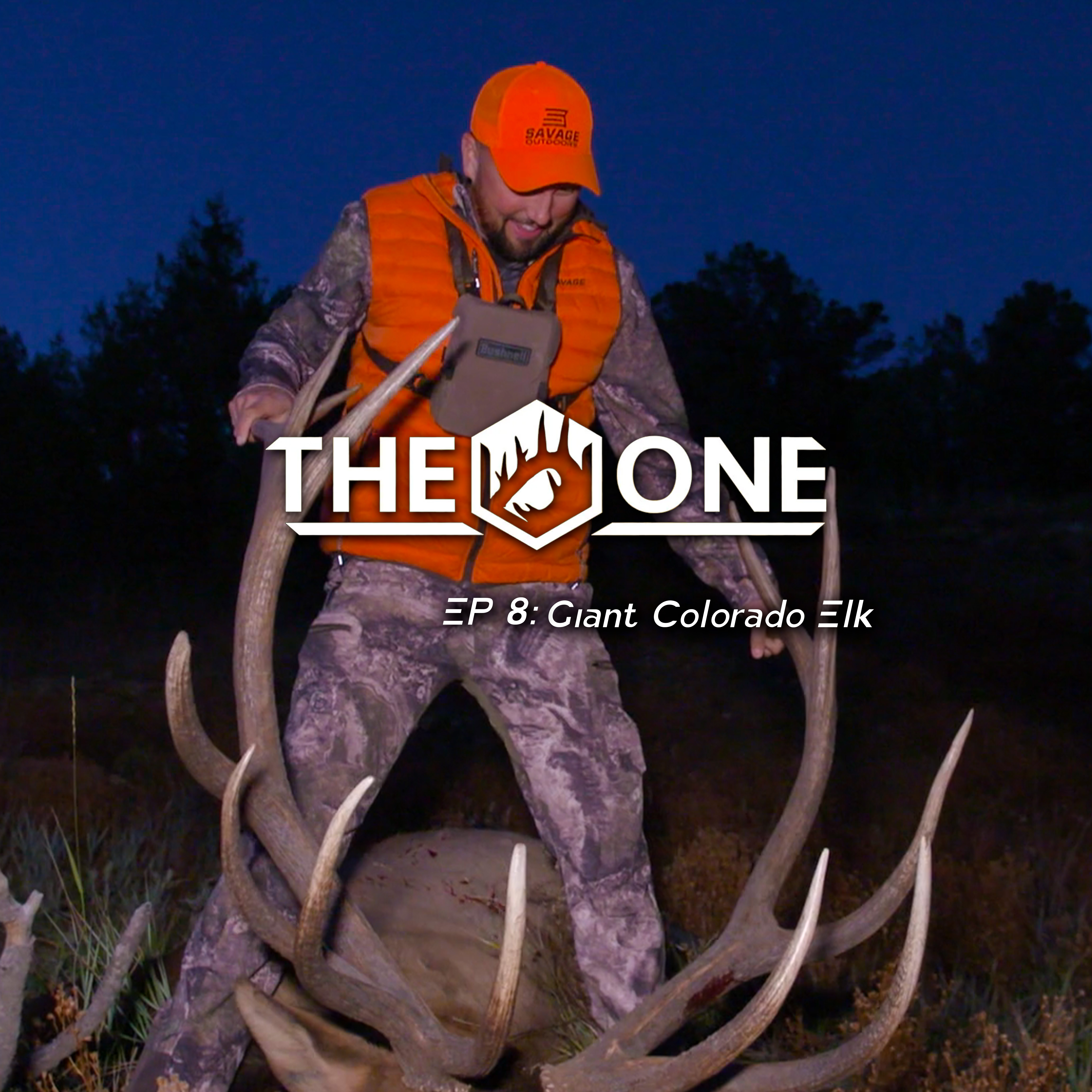 Giant Colorado Elk • The One