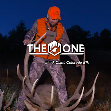 Giant Colorado Elk • The One