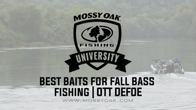 Best Baits for Bass in the Fall - Ott DeFoe Fishing Tips