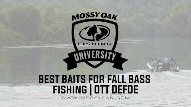 Best Baits for Bass in the Fall - Ott...