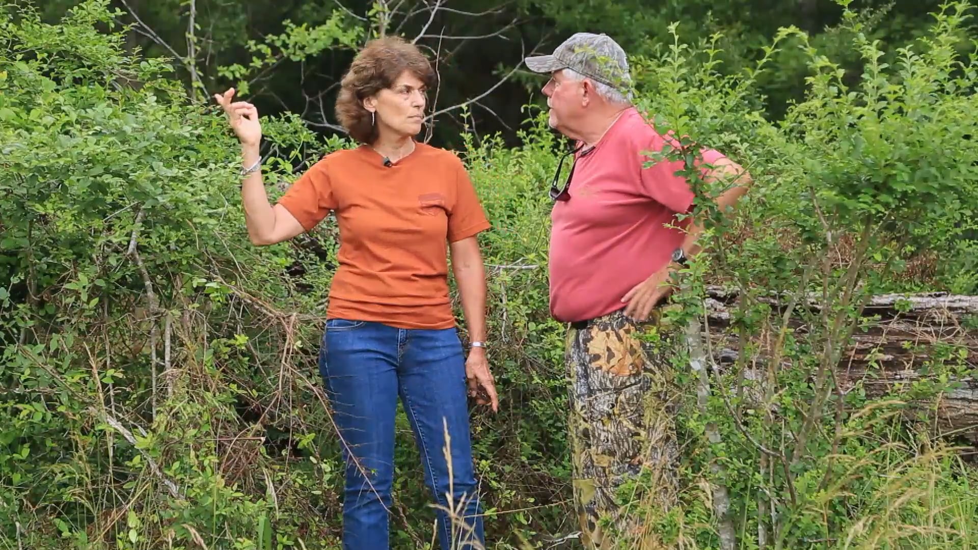 Trees, Tracking and Trapping • Three Helpful Subjects for Gamekeepers