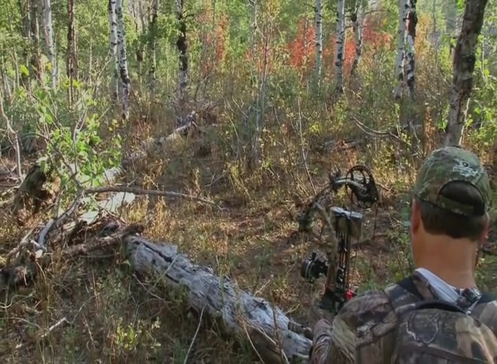 Bows, Bulls and Bullets • Elk in Utah