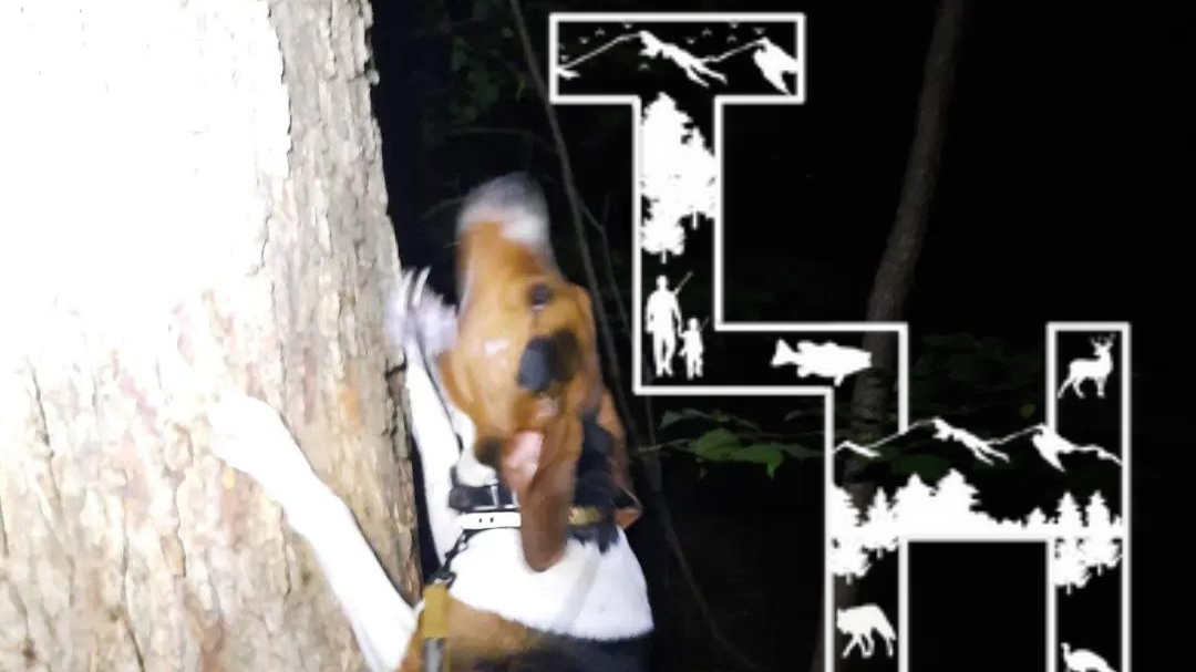 Release the Hounds Series 2! • True Life Hunting Adventures