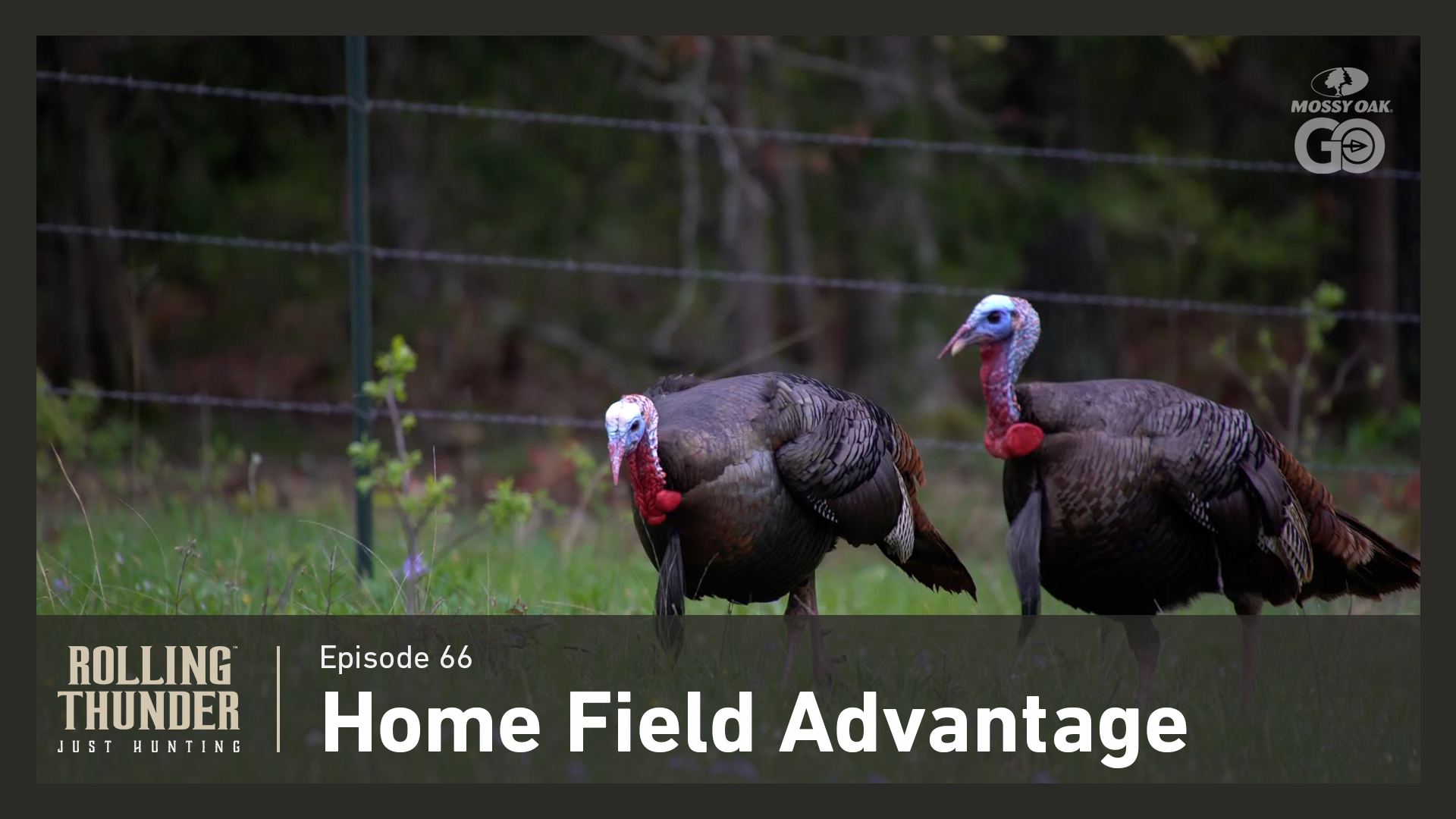 Ep 66 • Home Field Advantage • Rolling Thunder