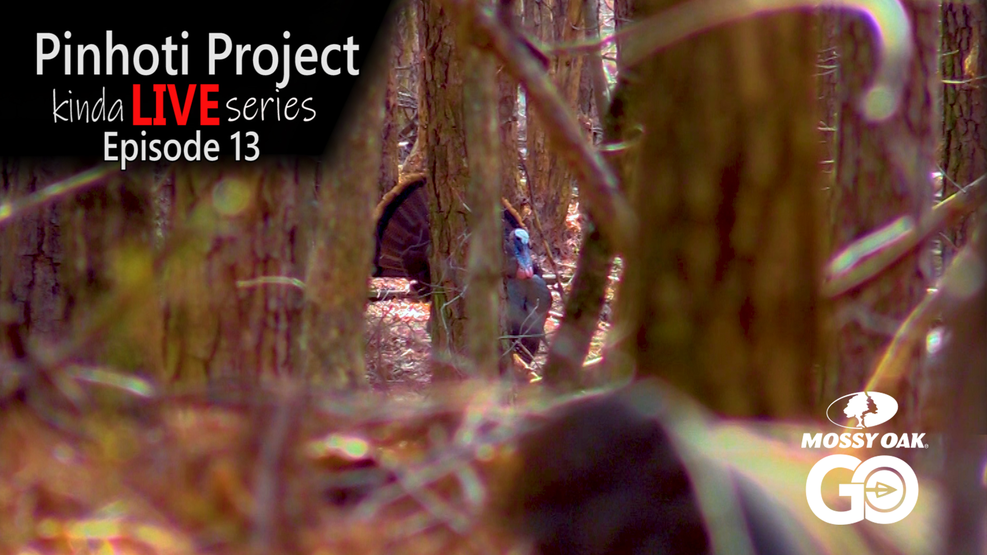 Kinda Live • Episode 13 • Pinhoti Project