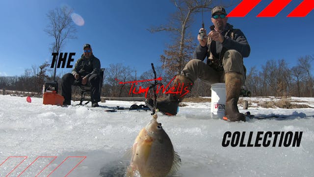 Ice Fishing • Tim Wells
