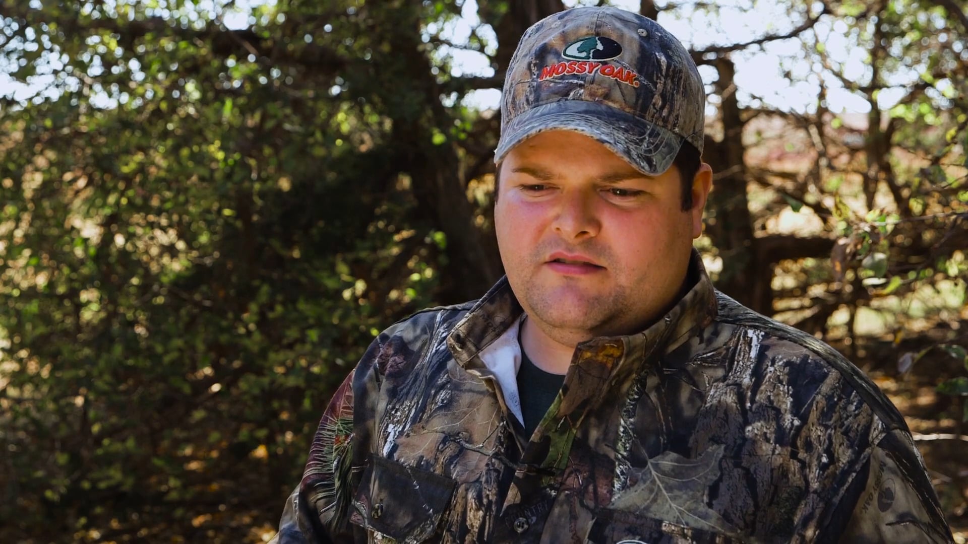 Close Calls • Deer and the Line of Duty