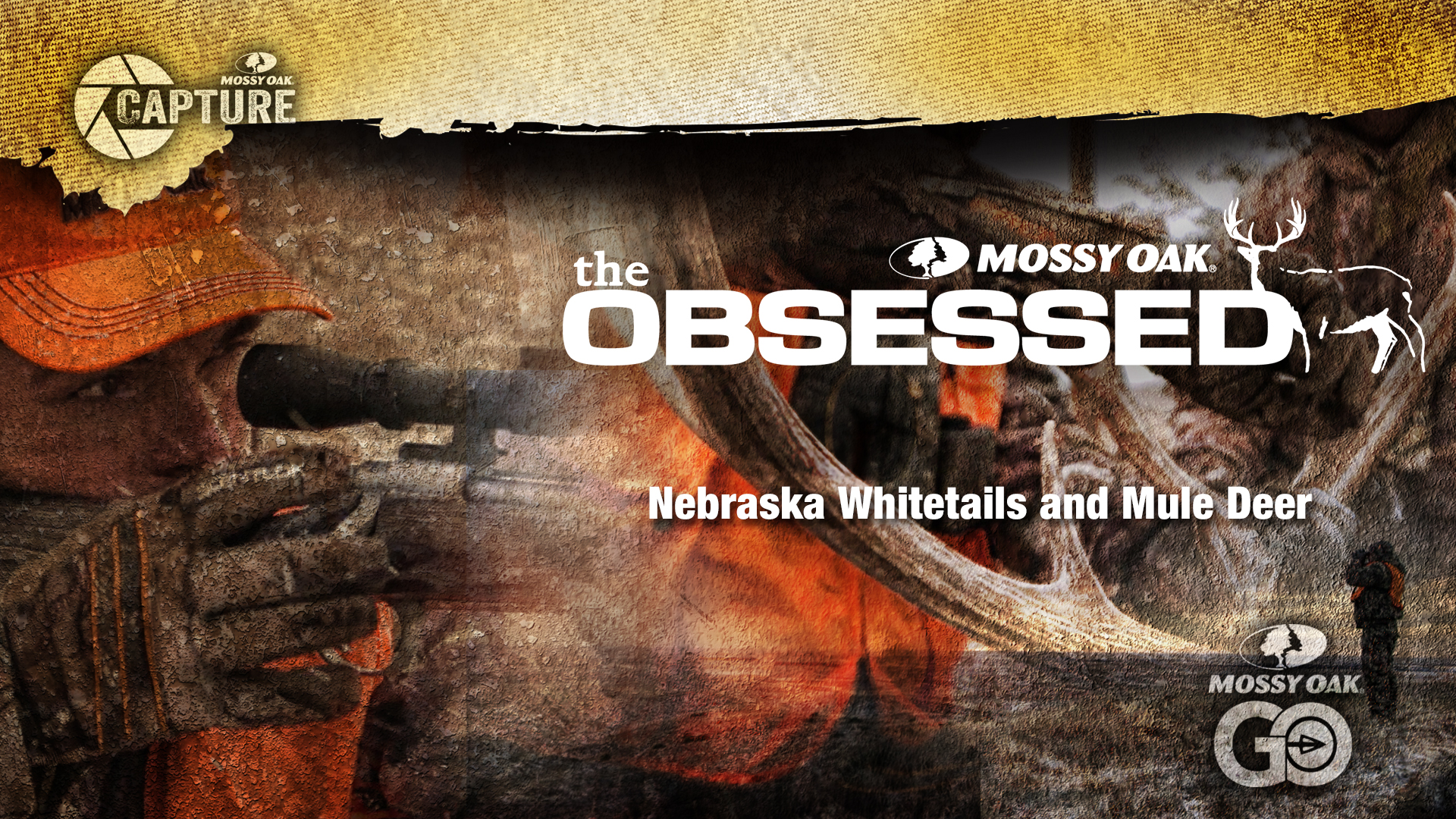 Nebraska Whitetails and Mule Deer